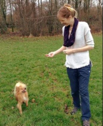 Dog trainer & behaviourist in Southampton, Eastleigh, Romsey, Winchester & Fareham.  One-to-one, home visits.